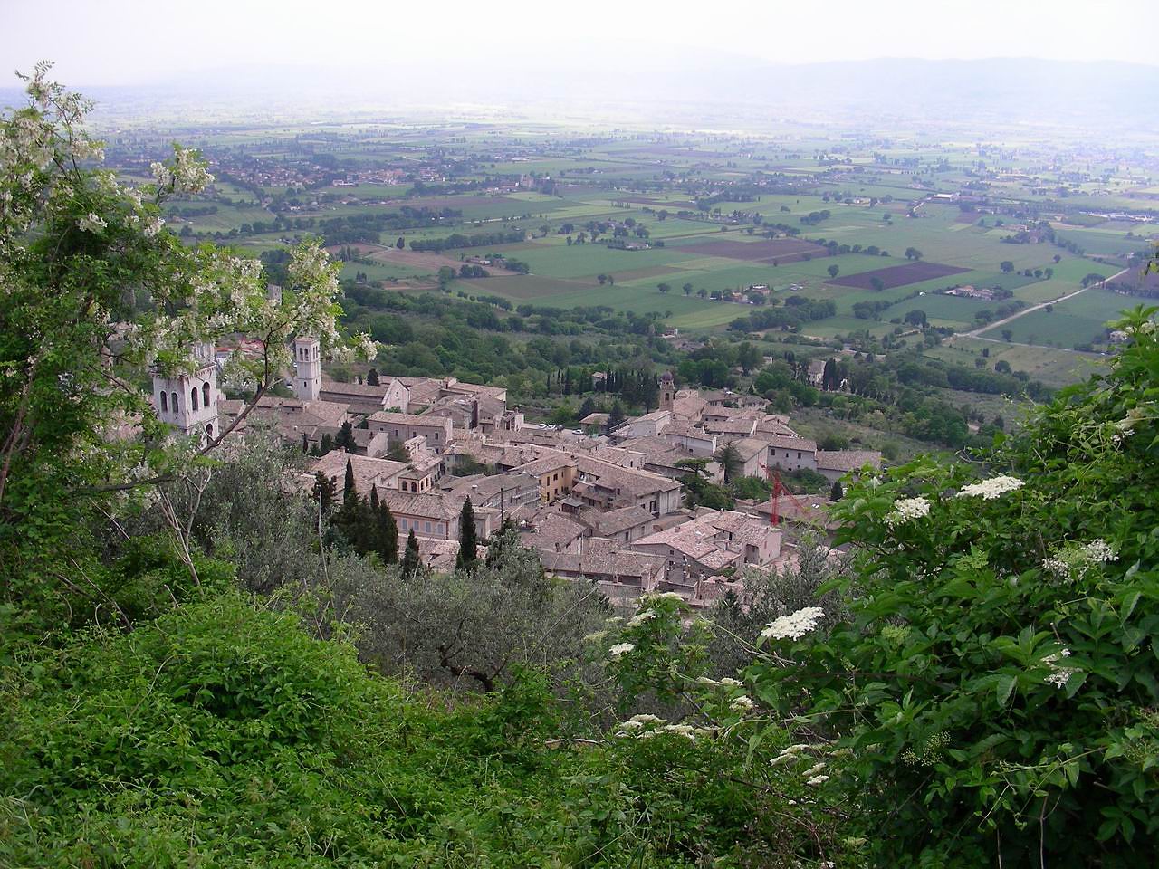 Assisi